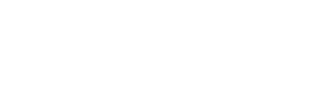 Fanget på Politiets kamera