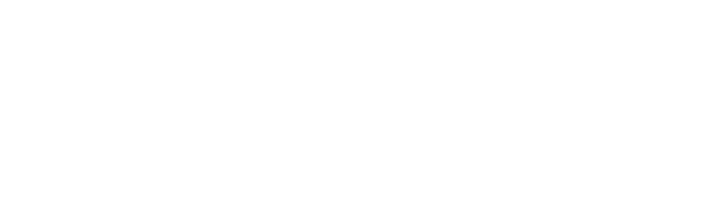 Fångat på polisens kamera Danmark