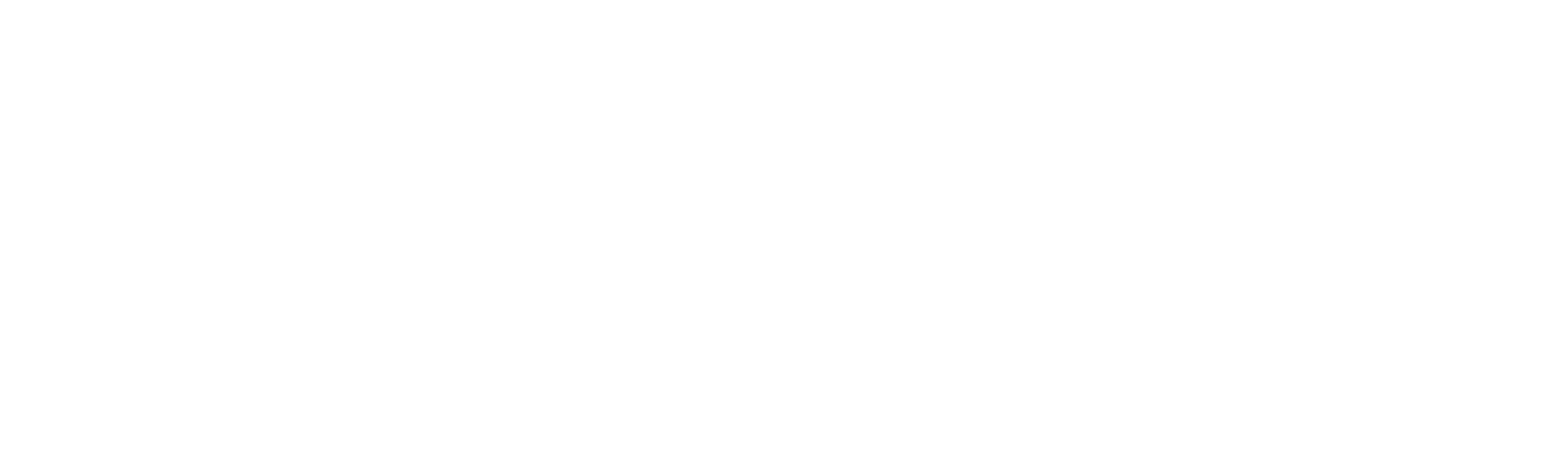 Fångat på polisens kamera Danmark