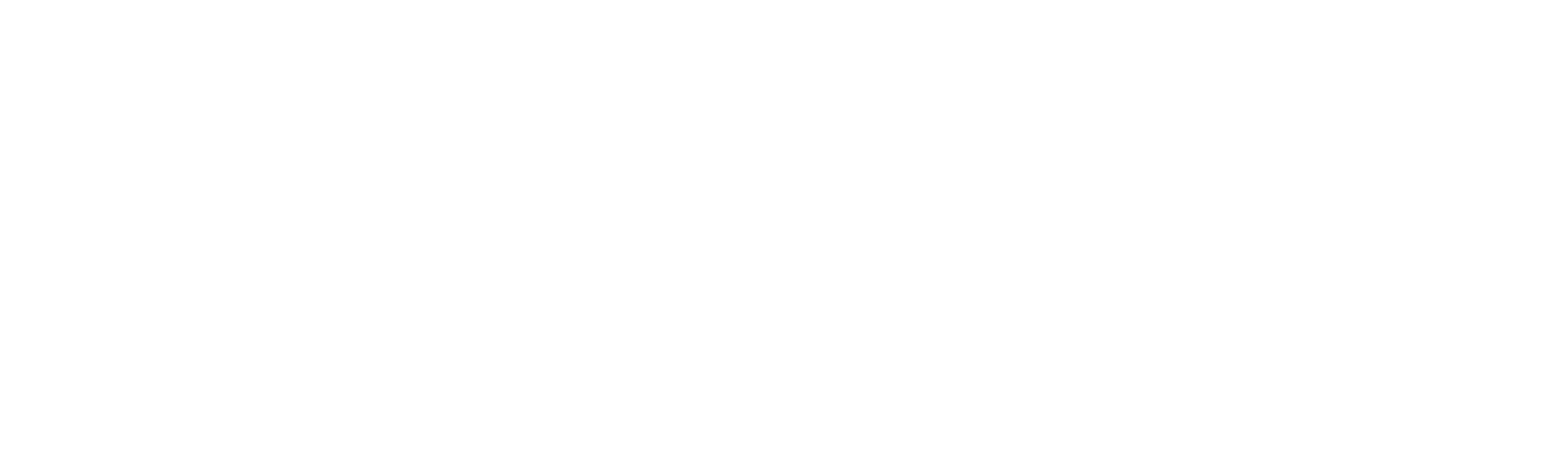 F for Fake
