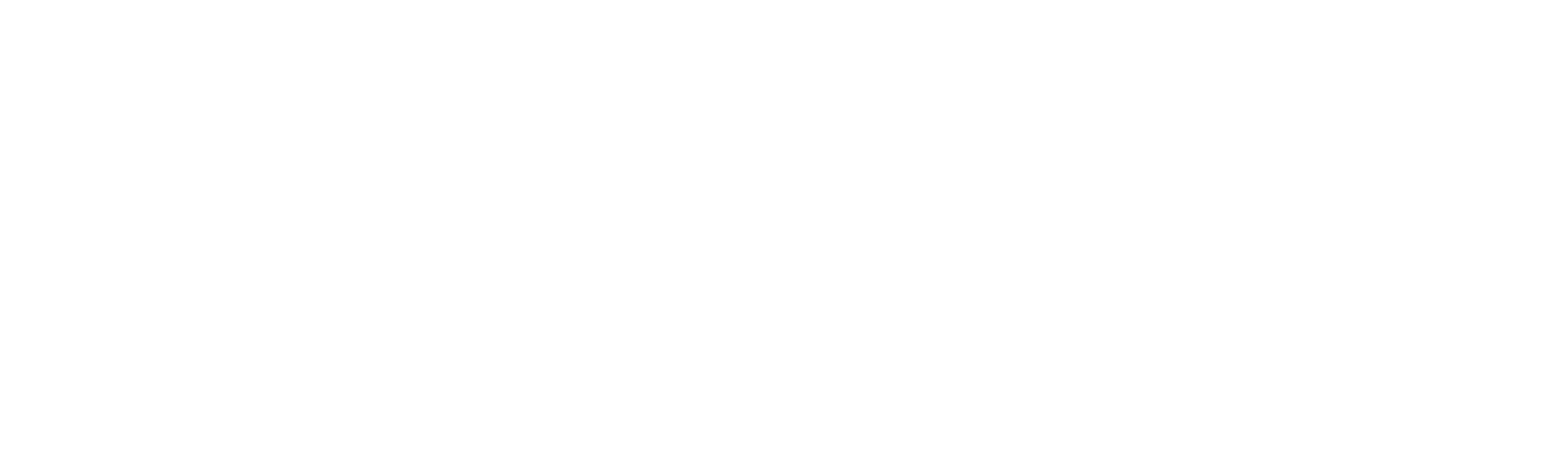 Stuart: O viață spusă invers