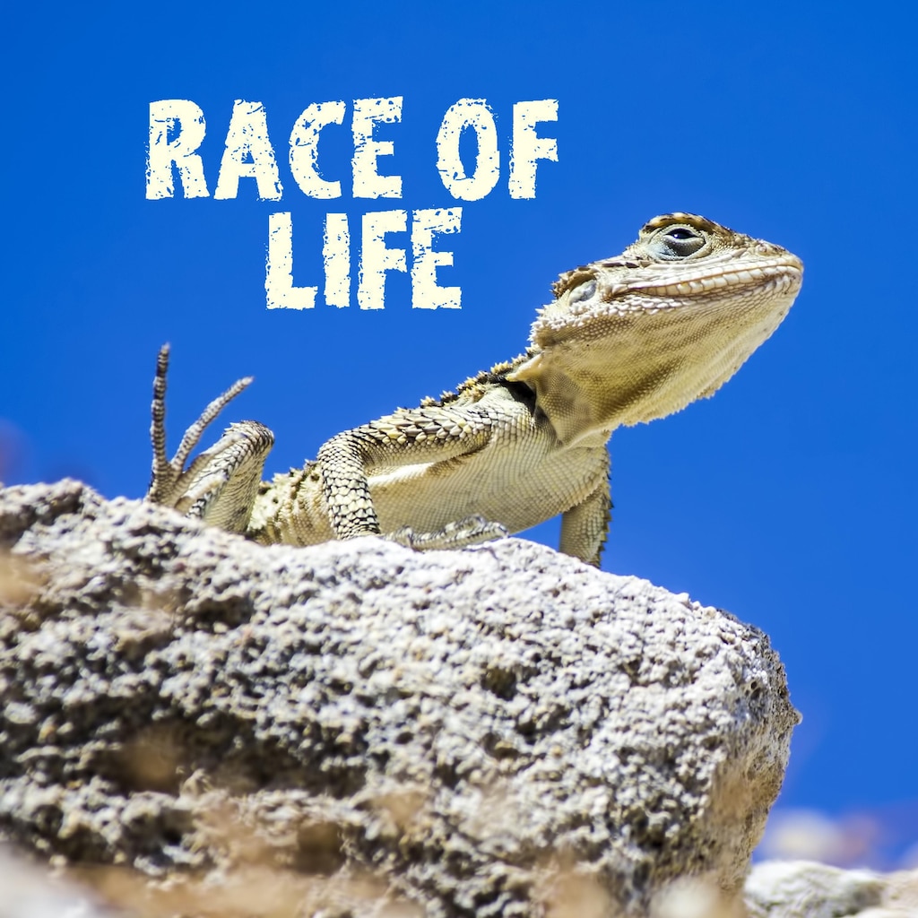 Race of Life