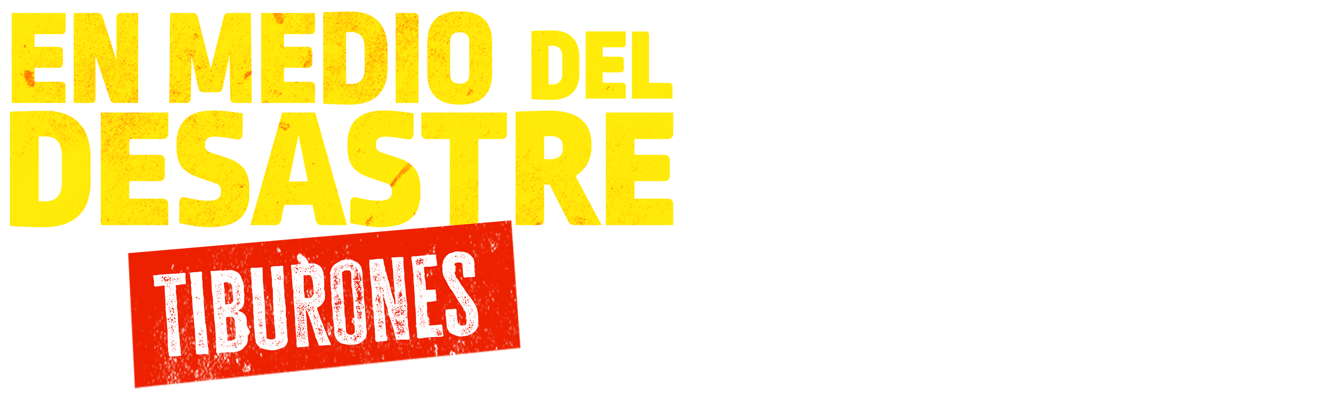 En medio del desastre: tiburones