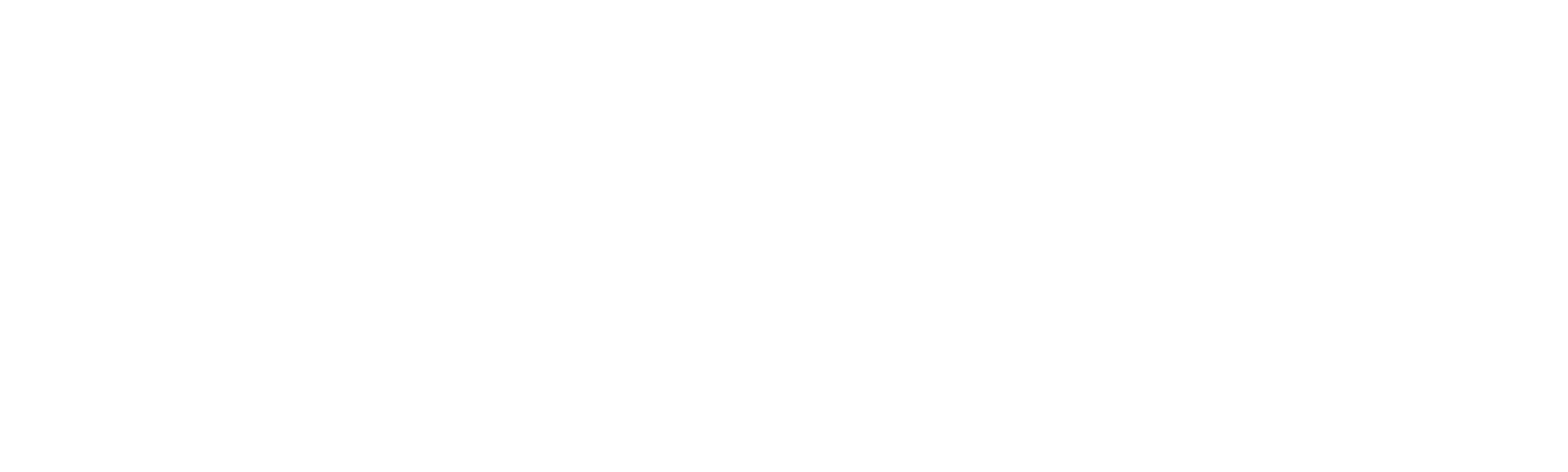 In the Eye of the Storm: Shark Storm