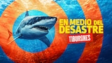 En medio del desastre: tiburones