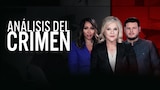 Análisis del crimen