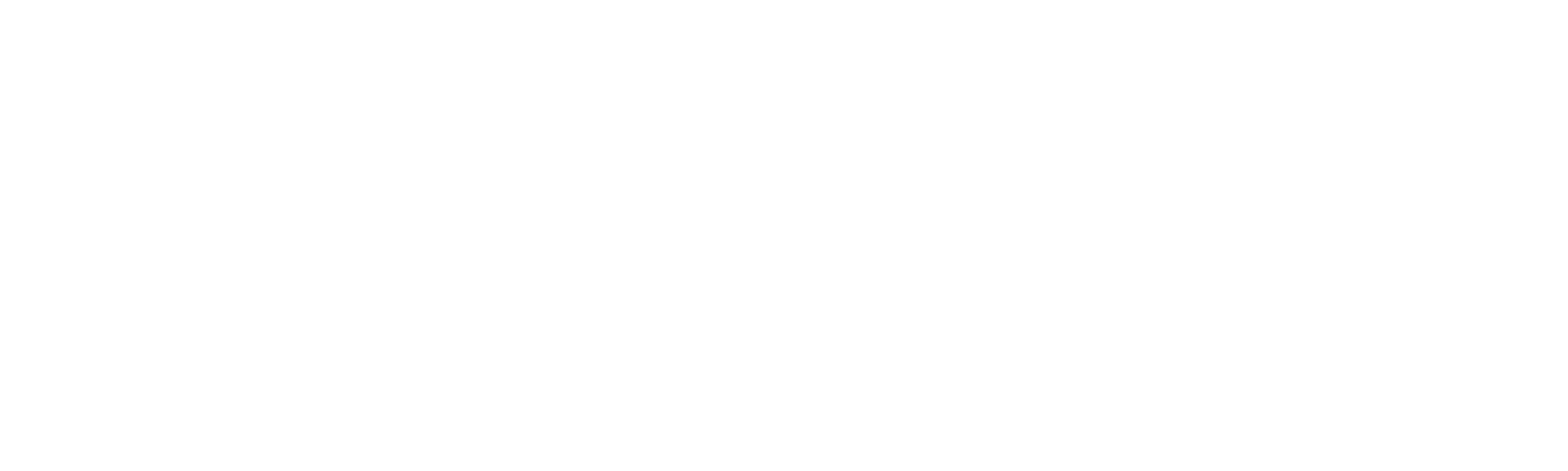 Tiburones voladores: Celebrando 20 años