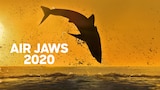 Air Jaws 2020