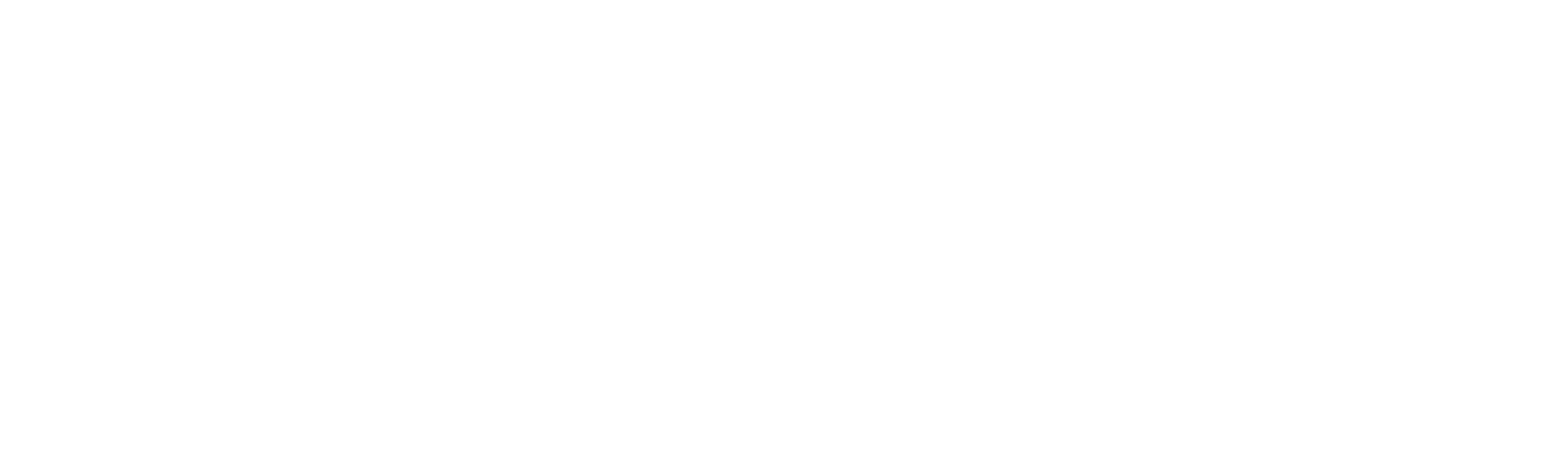 Barbie: En La Princesa y La Plebeya