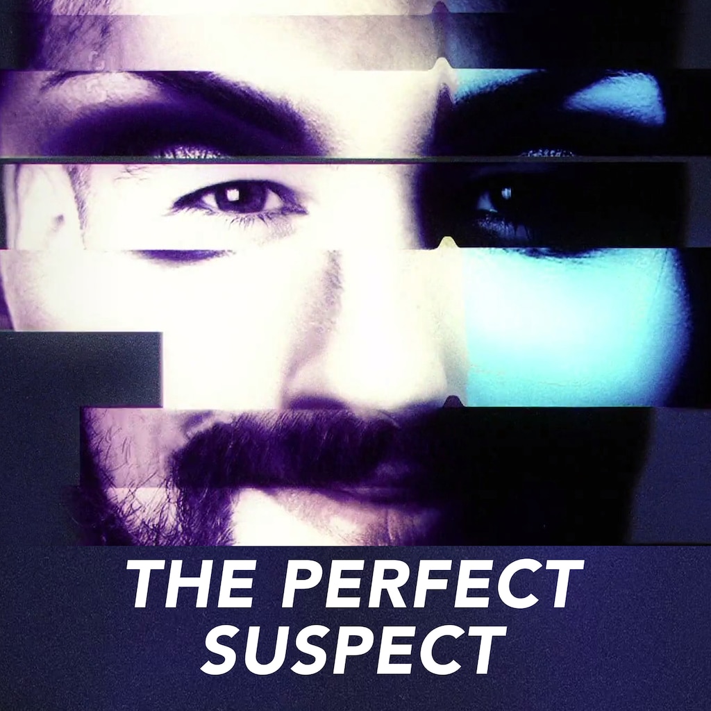 The Perfect Suspect