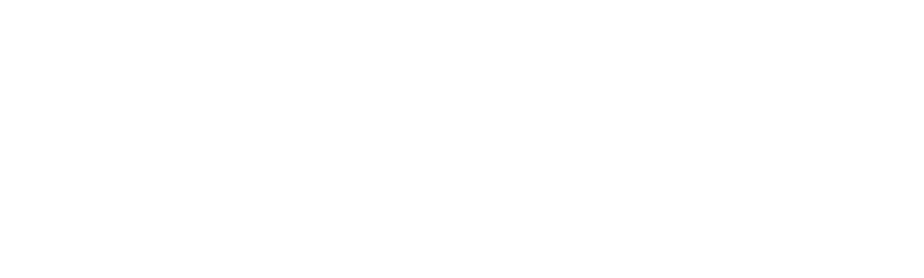 The Perfect Suspect