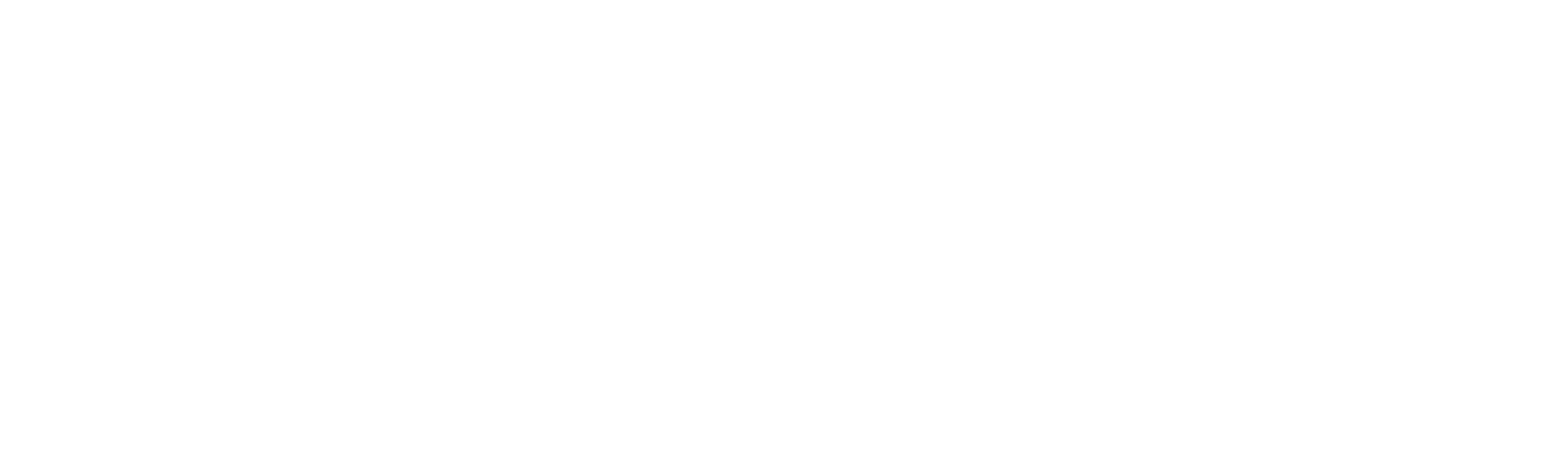 The Perfect Suspect