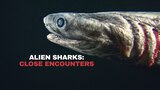 Alien Sharks: Close Encounters