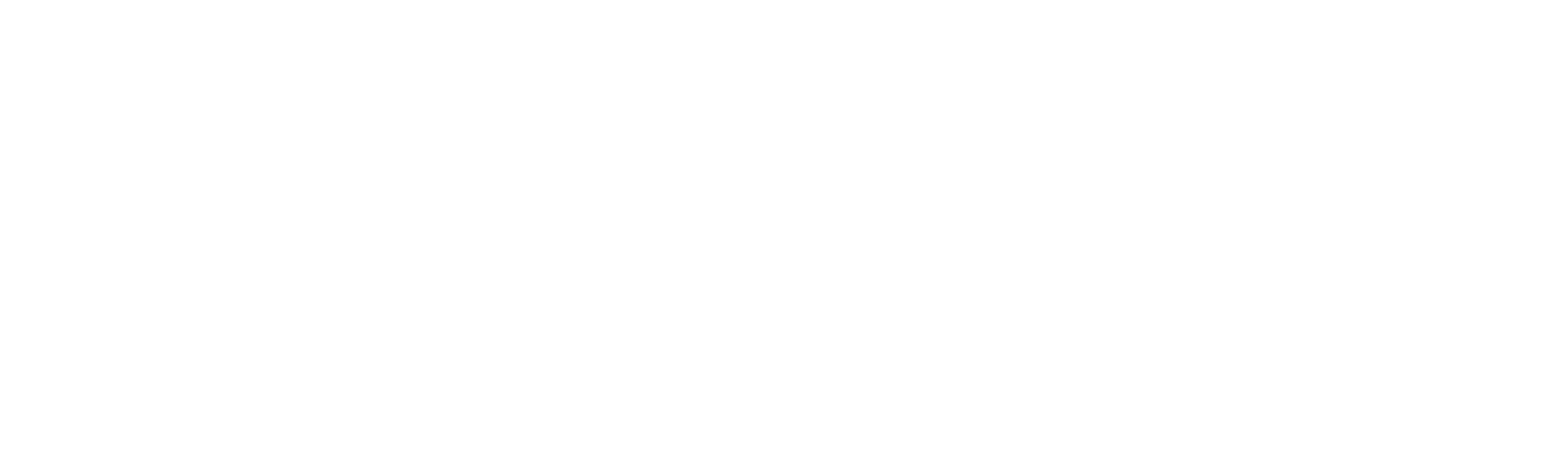 The Enforcer