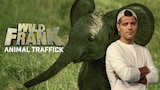 Wild Frank Animal Traffick