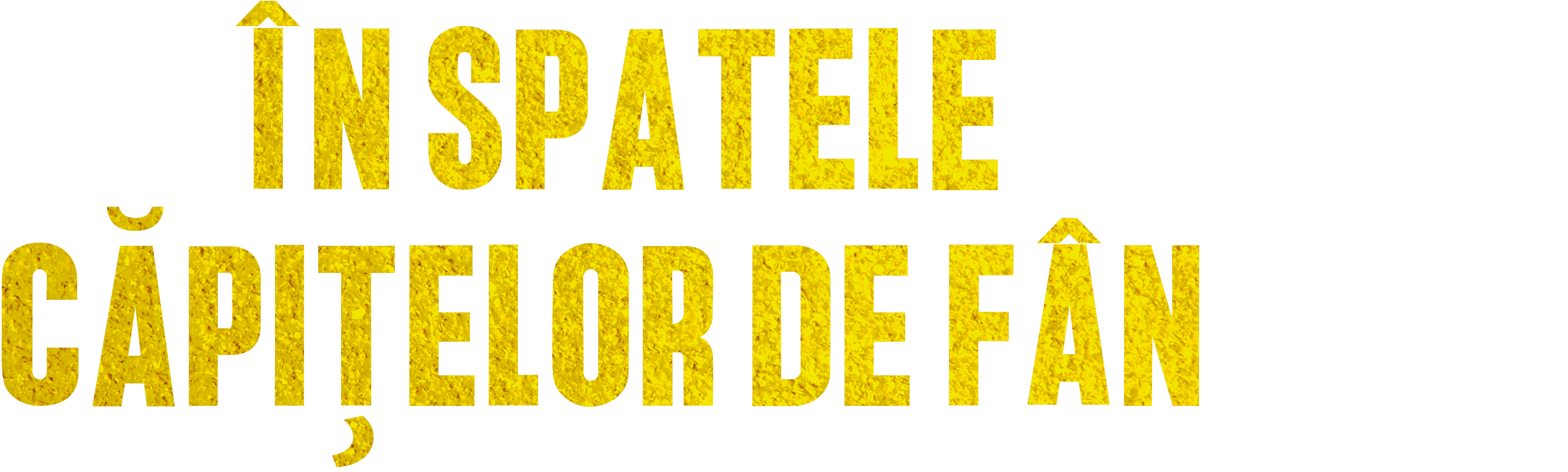 În spatele căpițelor de fân