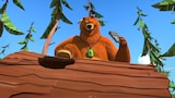 Radar Bear