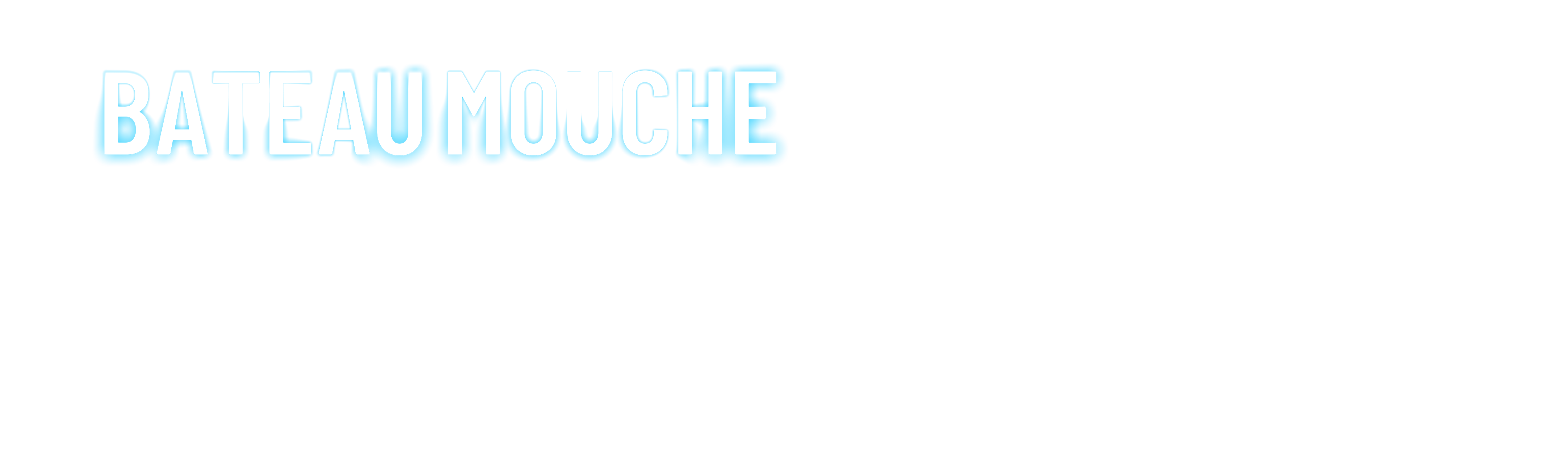 Bateau Mouche: El Naufragio de la Justicia