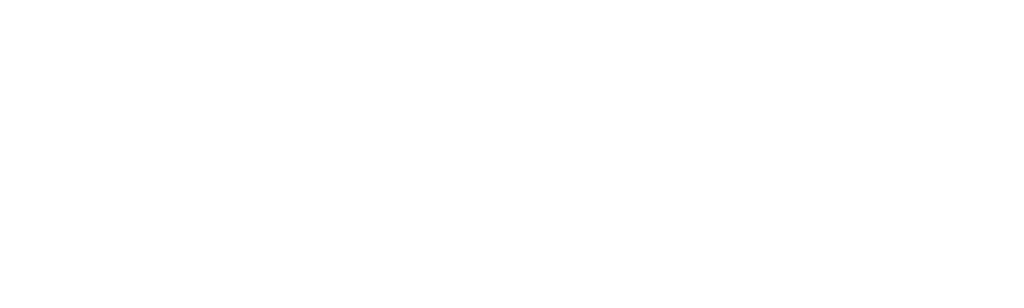 90 Day Journey: Molly & Luis