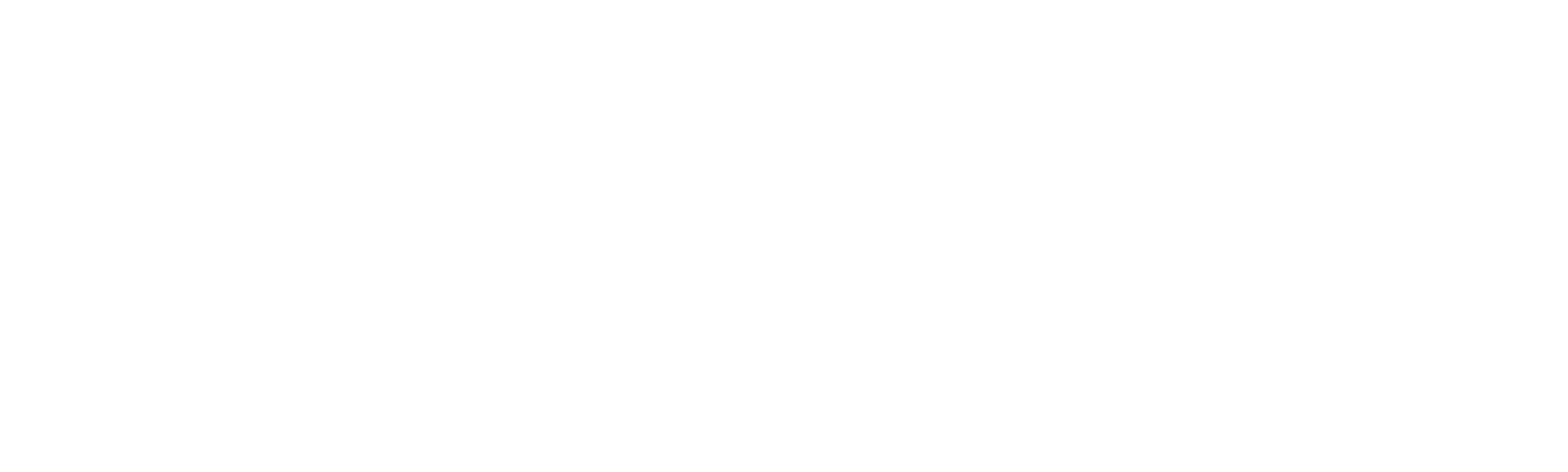 90 Day Journey: Molly & Luis