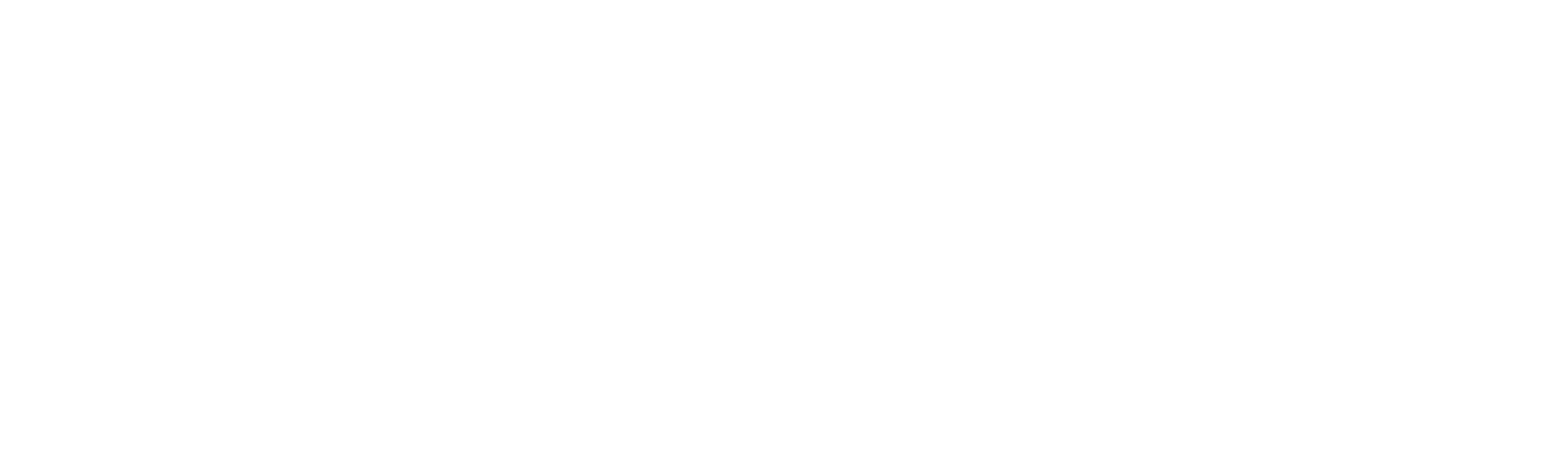 The Bourne Ultimatum