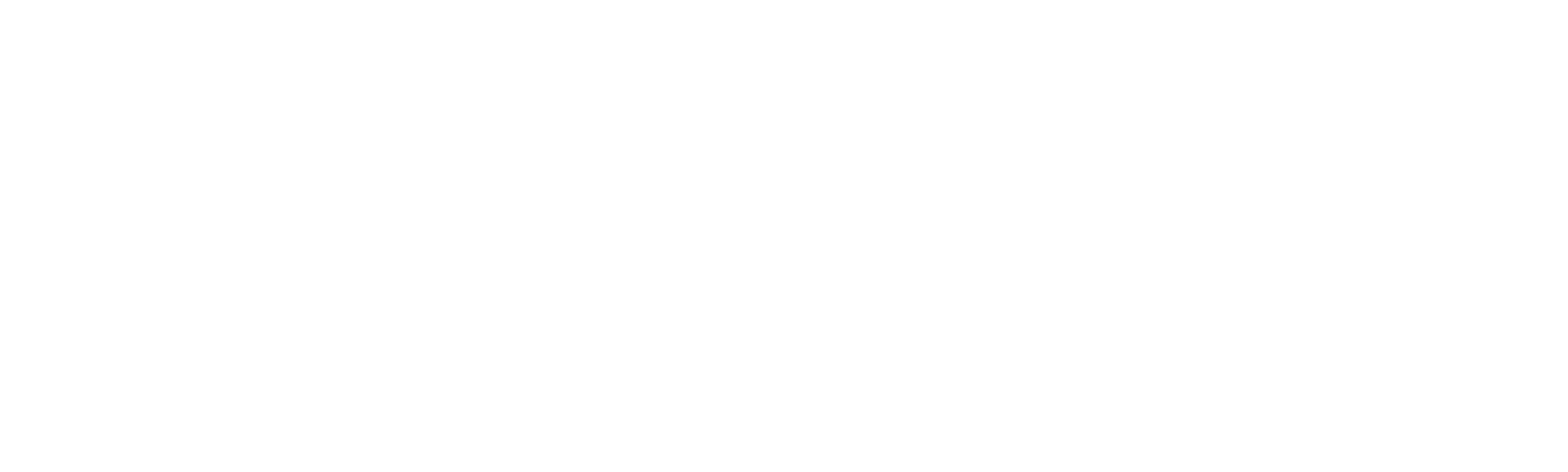 Nik i Aron Karter: Pali idoli