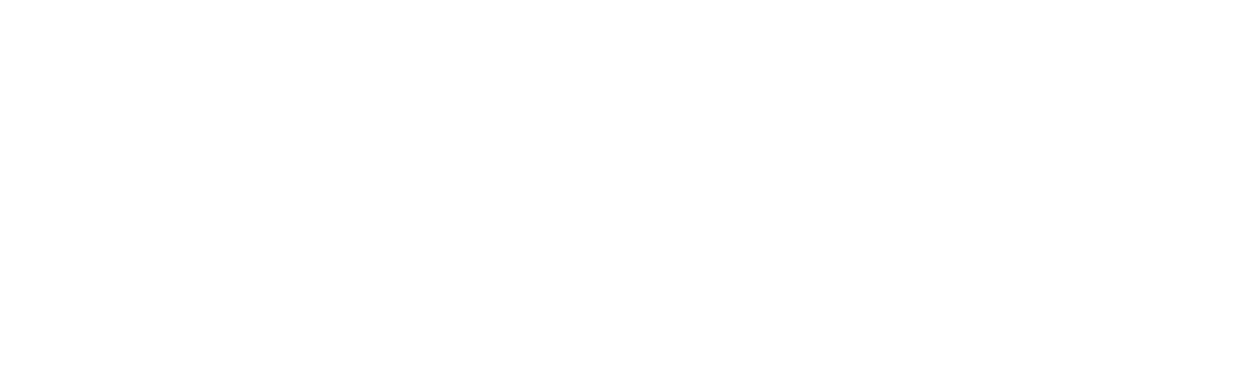 Nick in Aaron Carter: Padla idola