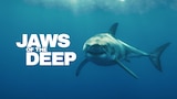 Jaws of the Deep