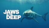 Jaws of the Deep