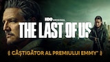 The Last of Us