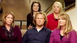 Sister Wives: Special