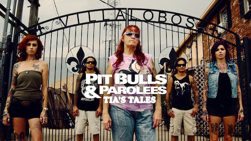 animal planer pit bulls tia maroa lopez net worth - Ilustrasi 2