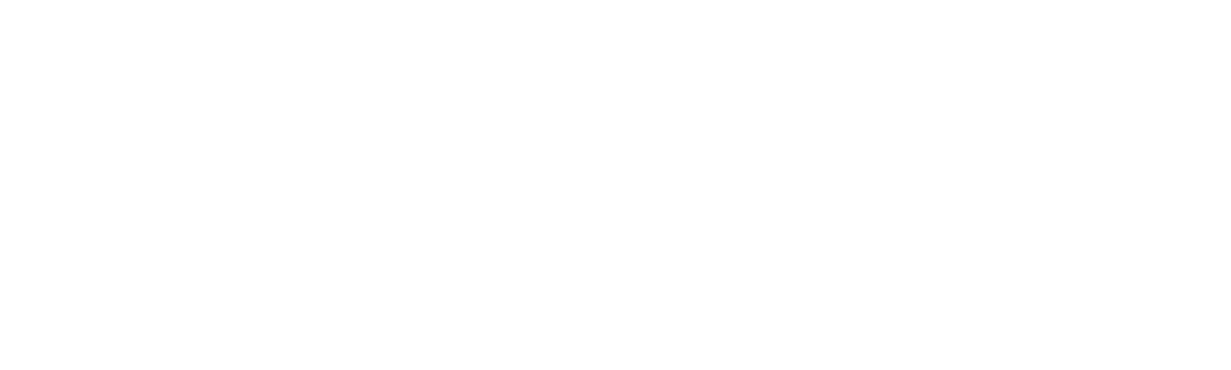 12 Horas para Sobrevivir: El Año de la Elección