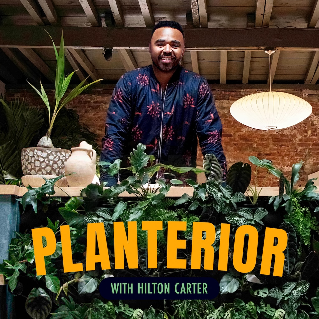 Planterior With Hilton Carter