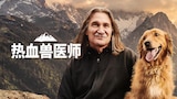 热血兽医师