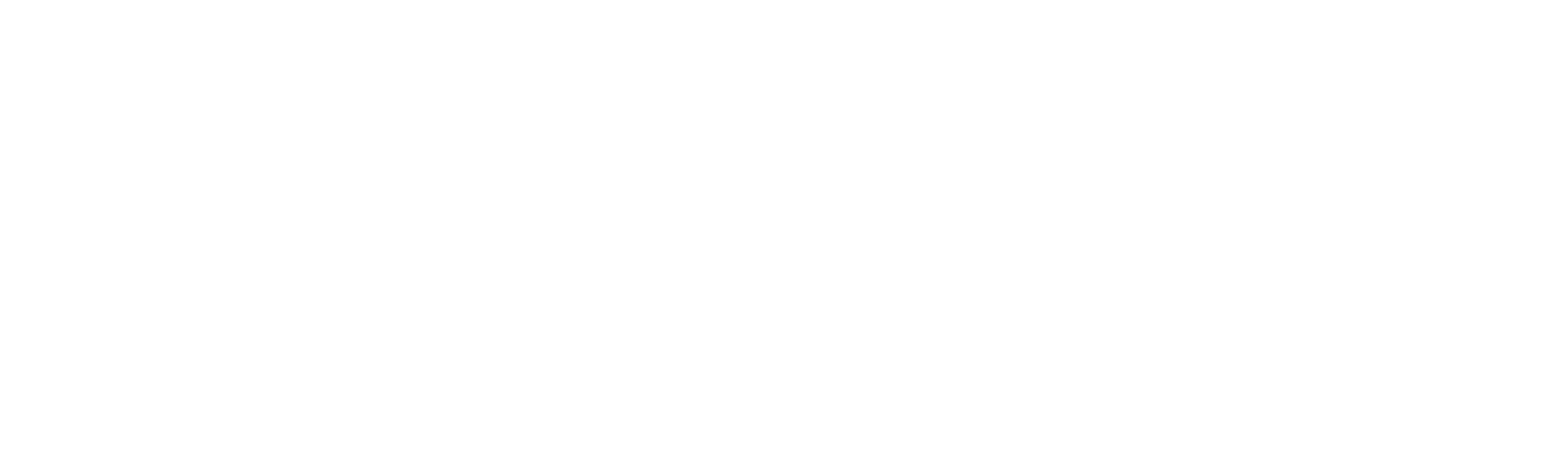 Joe Exotic: la historia del Rey Tigre