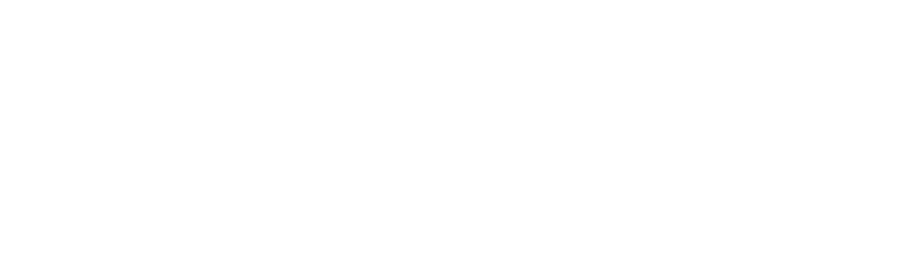 肖恩懷特：最後一搏