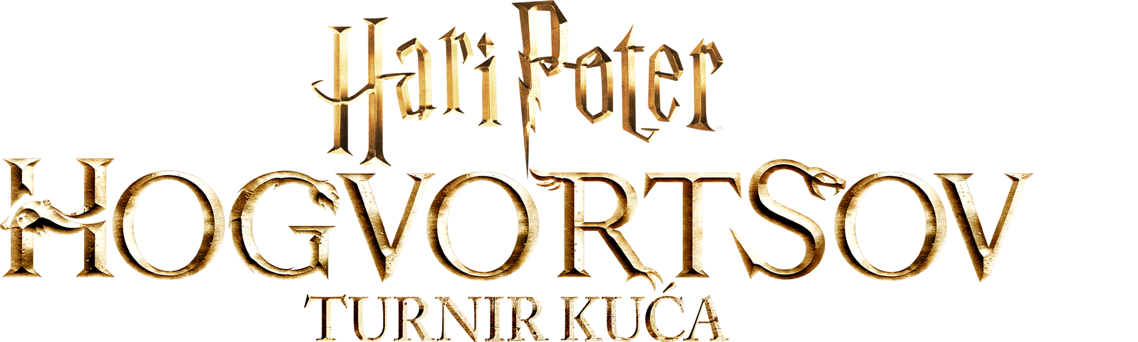 Hari Poter: Hogvortsov turnir kuća