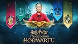 Harry Potter: Turniej Domów Hogwartu