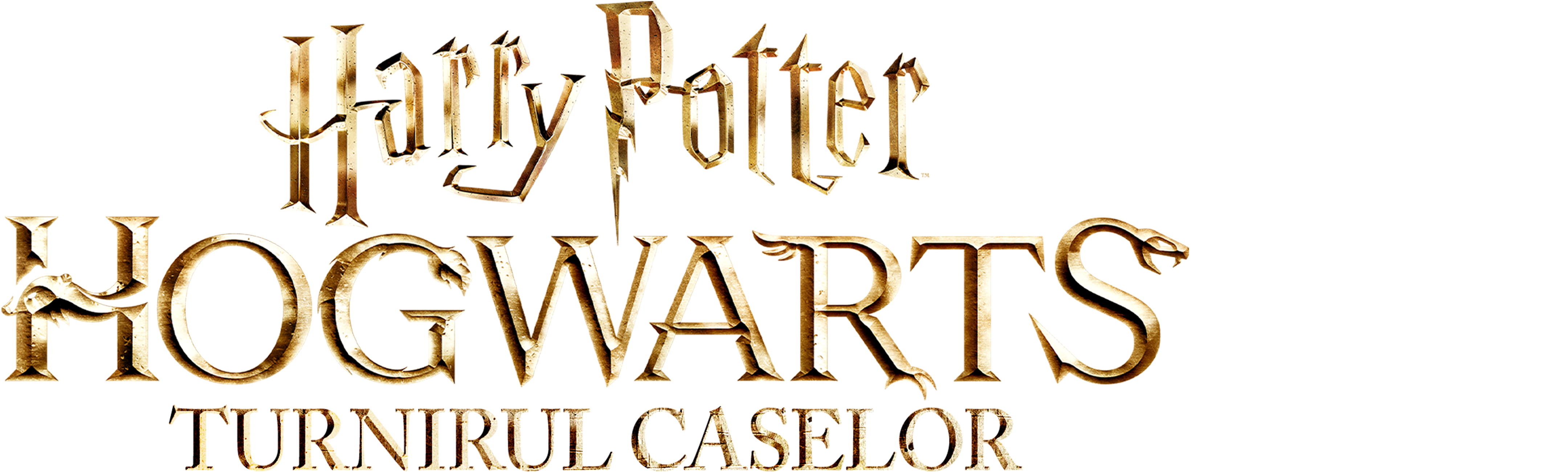 Harry Potter: Hogwarts - turnirul caselor