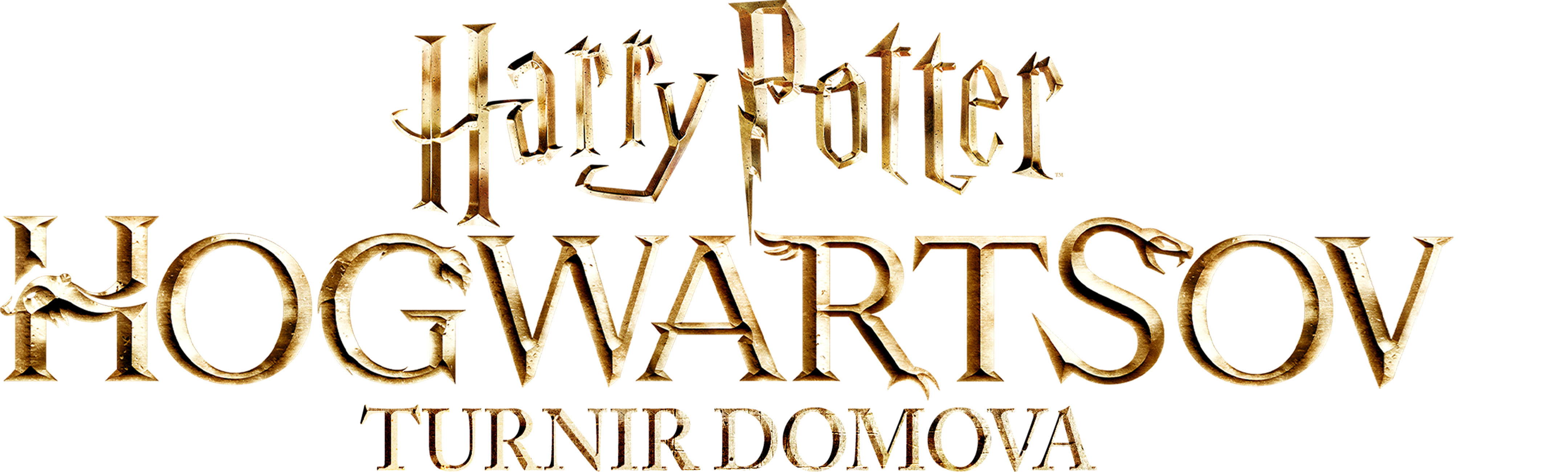 Harry Potter: Hogwartsov turnir domova
