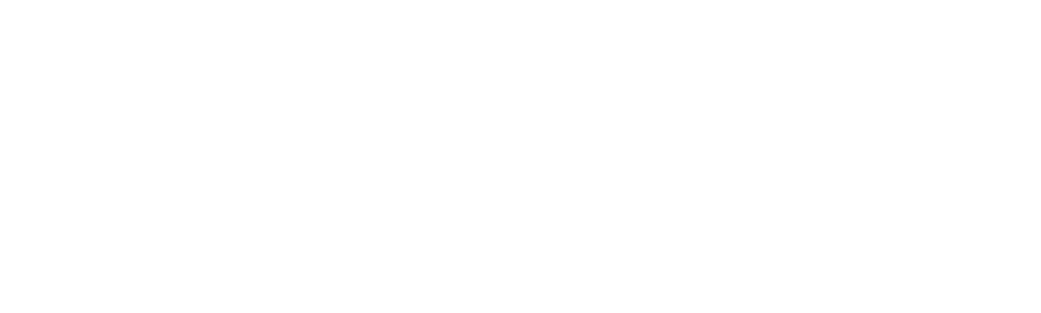 Destruktivna mladost