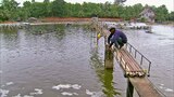 Combination Squares, Farmed Shrimp, Ball Valves, and String Trimmers