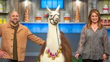 Llama Drama