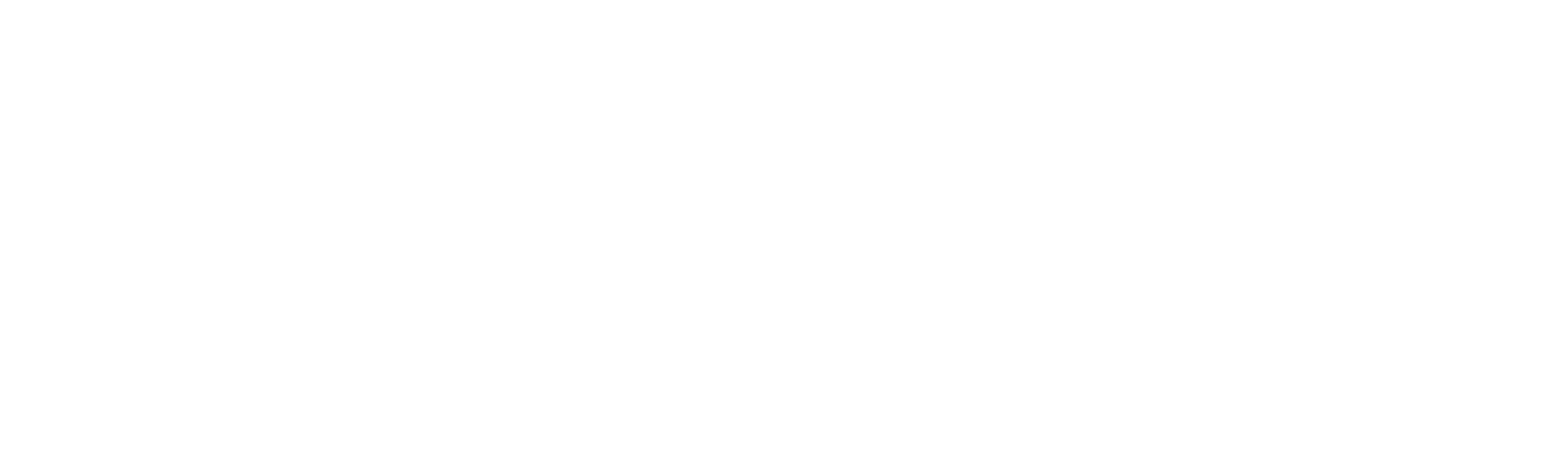 Lopovi, ubojice i dvije nabijene puške