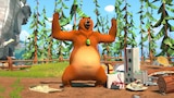 Never Judge a Bear by Its Cover