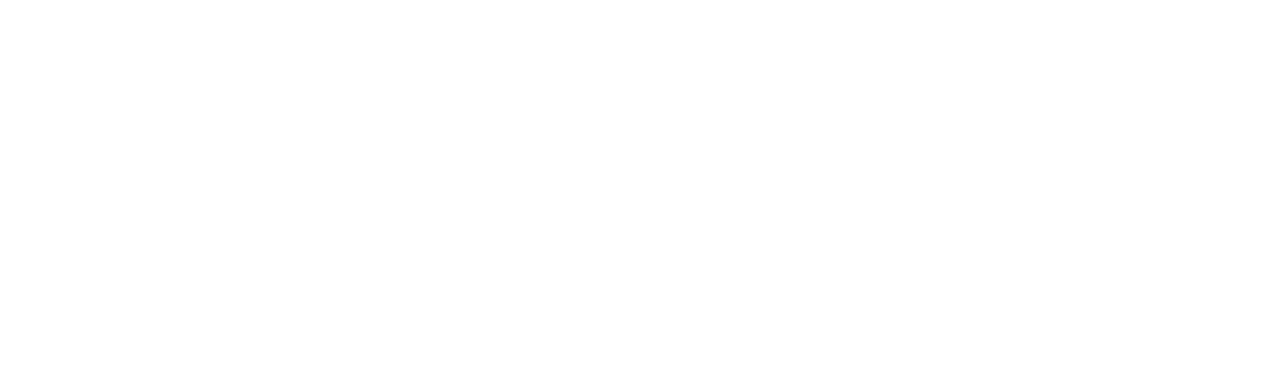 Au cœur des douanes : Pologne