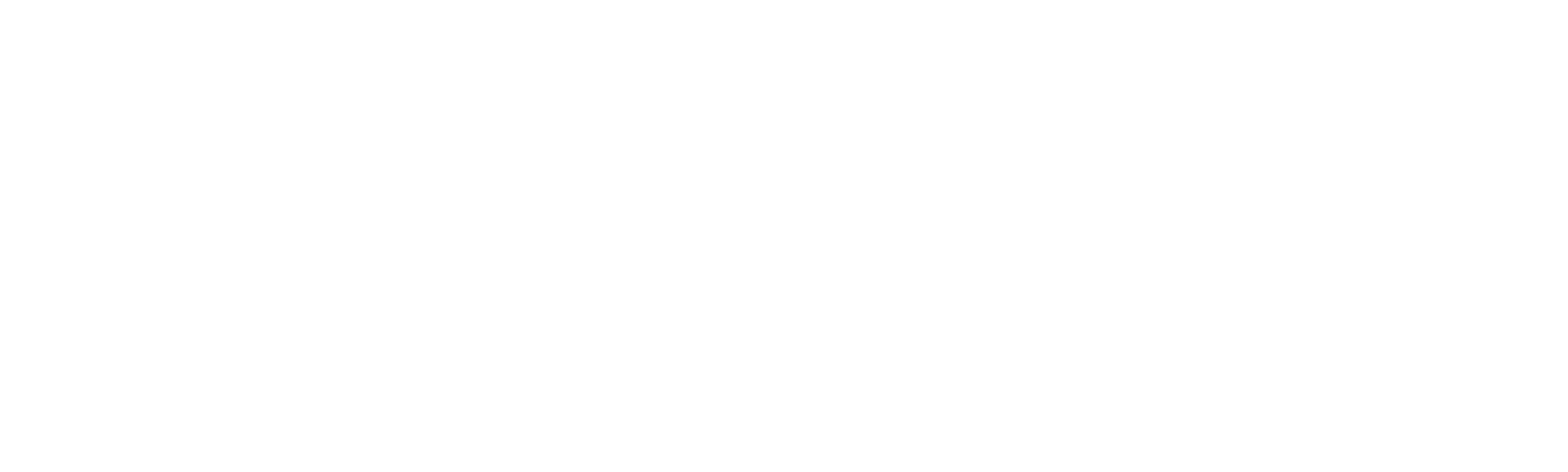 Operação Fronteira: Polônia
