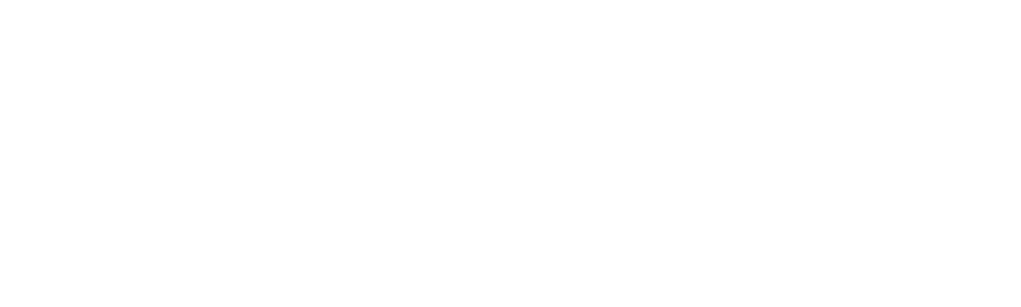 CRISIS 特別搜查隊