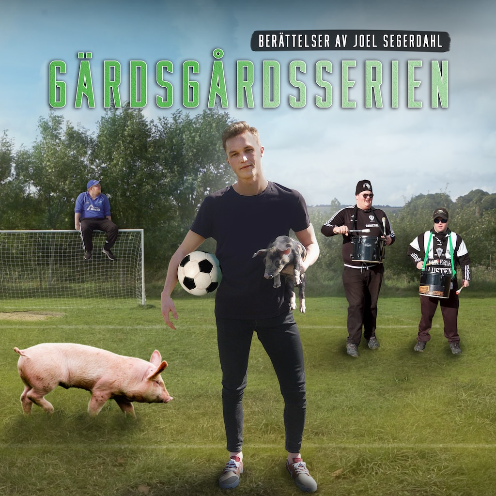 Gärdsgårdsserien